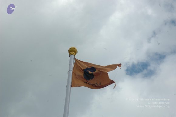 20081113_Photo_1041_DSC_7917_CMP_WM