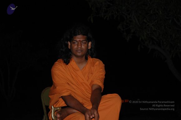 20081113_Photo_1014_DSC_7996_CMP_WM