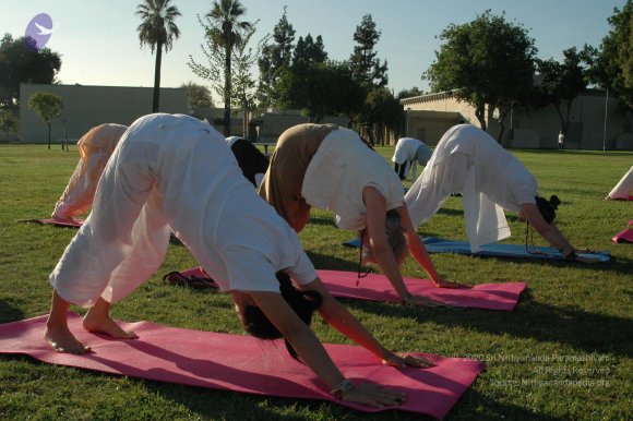 13Nov2008_NYT_Los_Angeles_16_CMP_WM