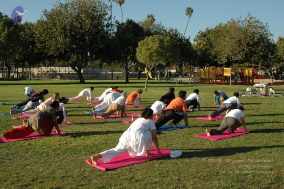 13Nov2008_NYT_Los_Angeles_19_CMP_WM