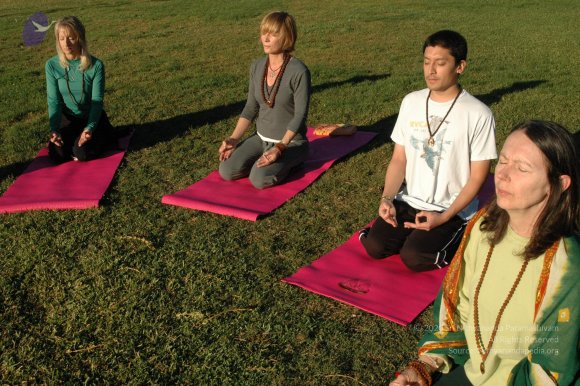 15November2008_NYT_Los_Angeles_27_CMP_WM