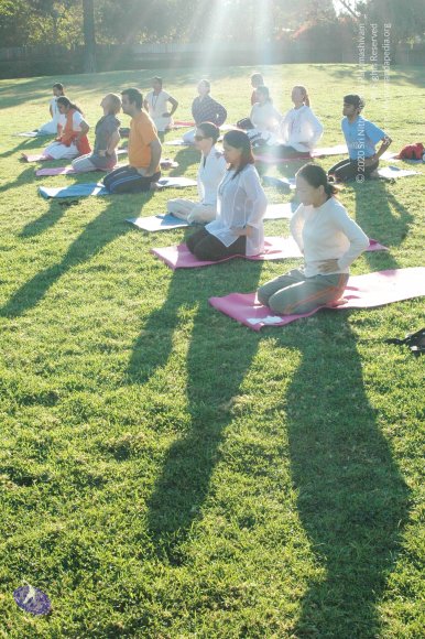 16November2008_NYT_Los_Angeles_01-1_CMP_WM