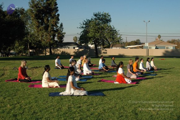 16November2008_NYT_Los_Angeles_08_CMP_WM