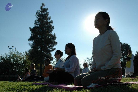 16November2008_NYT_Los_Angeles_14-1_CMP_WM