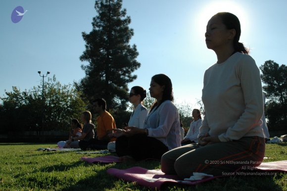 16November2008_NYT_Los_Angeles_16-1_CMP_WM