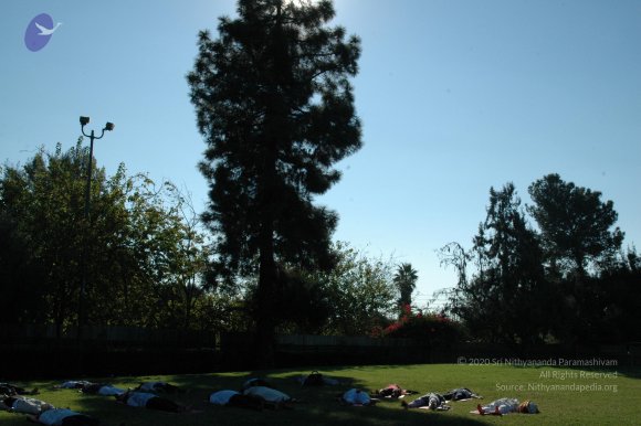 16November2008_NYT_Los_Angeles_26_CMP_WM