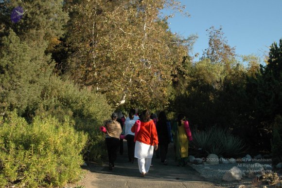 19November2008_NYT_Los_Angeles_01_CMP_WM