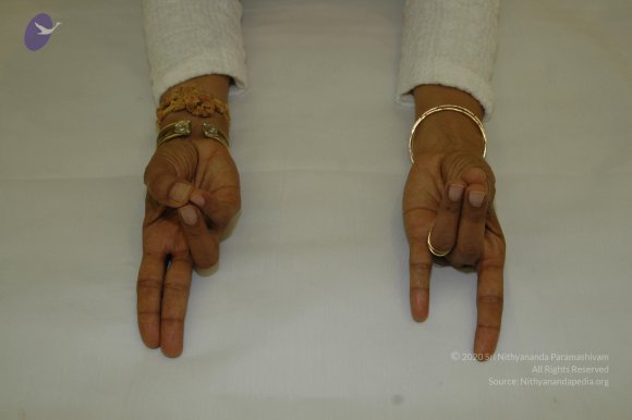 19November2008_NYT_Los_Angeles_111_CMP_WM