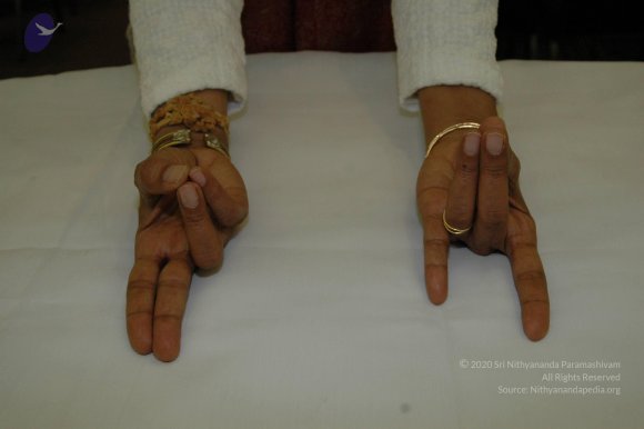 19November2008_NYT_Los_Angeles_112-1_CMP_WM