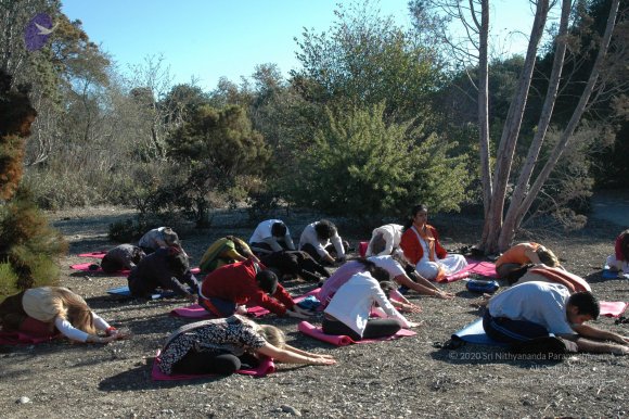 19November2008_NYT_Los_Angeles_24-1_CMP_WM