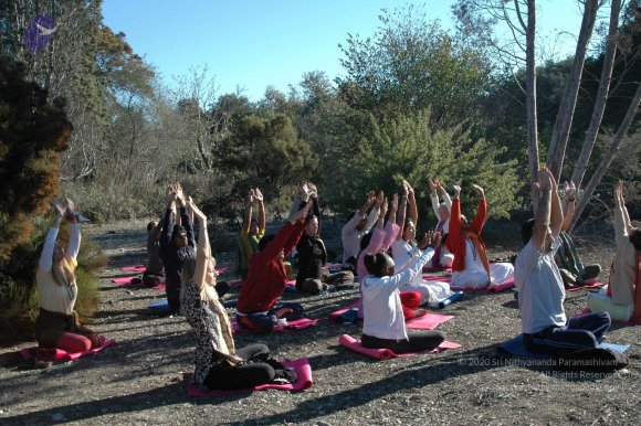 19November2008_NYT_Los_Angeles_25-1_CMP_WM