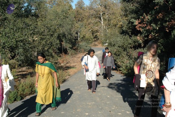 19November2008_NYT_Los_Angeles_68_CMP_WM