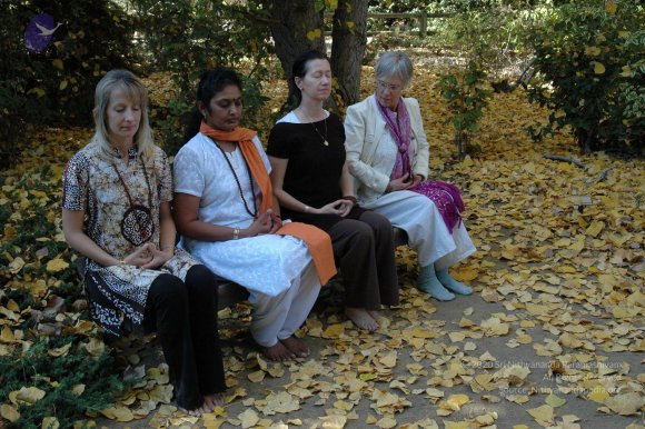 19November2008_NYT_Los_Angeles_81-1_CMP_WM