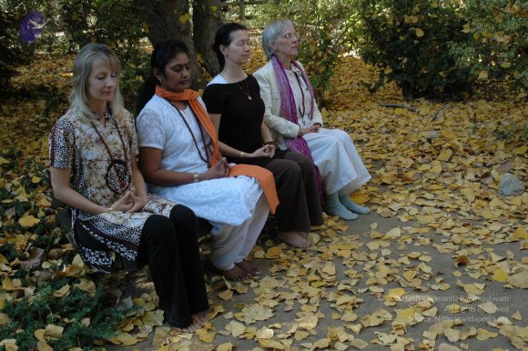 19November2008_NYT_Los_Angeles_82-1_CMP_WM