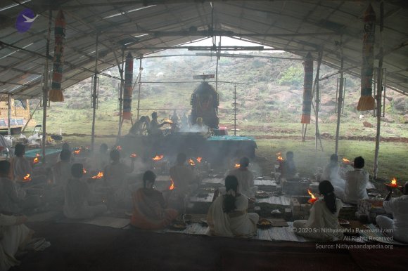 20081111_Photo_1505_DSC_2859_CMP_WM