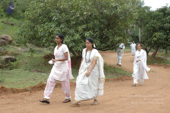 20081111_Photo_1517_DSC_2023_CMP_WM