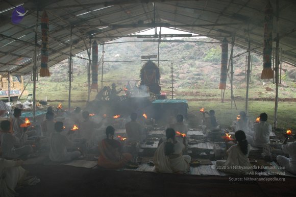 20081111_Photo_1533_DSC_2860_CMP_WM