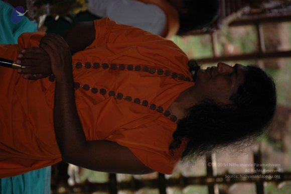 20081111_Photo_1557_DSC_2373_CMP_WM