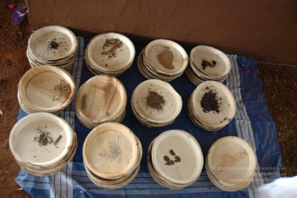 20081111_Photo_1590_DSC_2349_CMP_WM