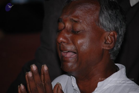 20081111_Photo_1622_DSC_2400_CMP_WM