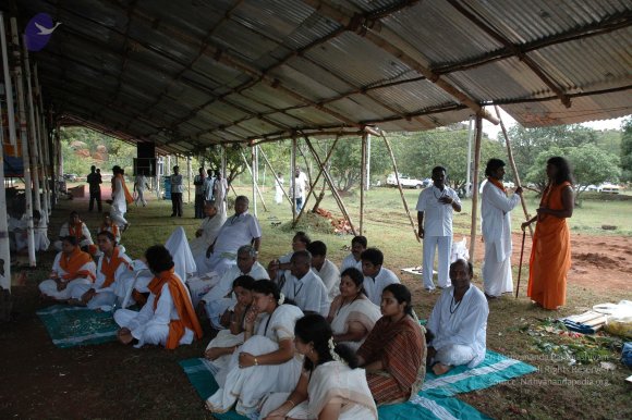 20081111_Photo_1646_DSC_2682_CMP_WM