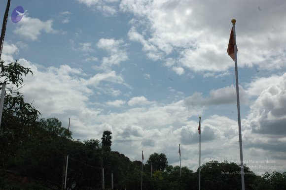 20081111_Photo_1722_DSC_2728_CMP_WM