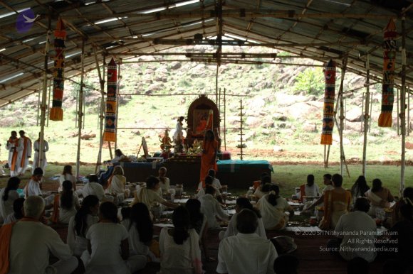 20081111_Photo_1726_DSC_2314_CMP_WM