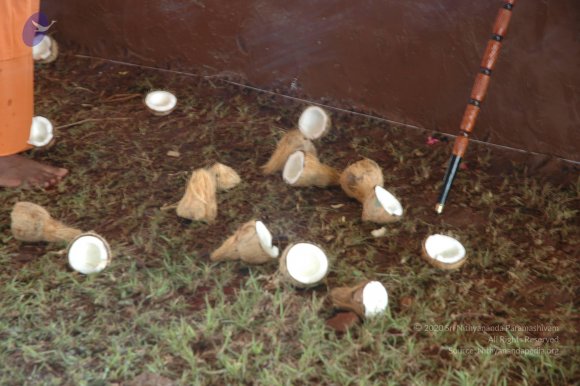 20081111_Photo_1733_DSC_2537_CMP_WM