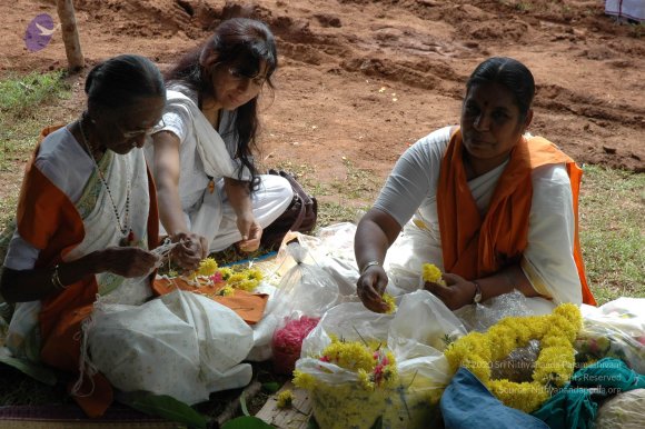 20081111_Photo_1755_DSC_2308_CMP_WM