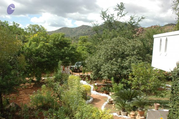 20081111_Photo_1766_DSC_2756_CMP_WM