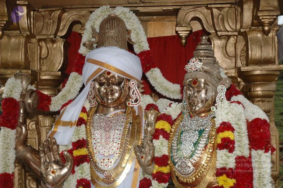 20081111_Photo_2031_DSC_2898_CMP_WM