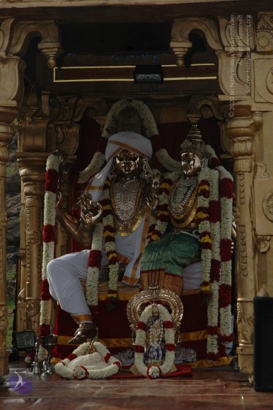 20081111_Photo_1062_DSC_2903_CMP_WM