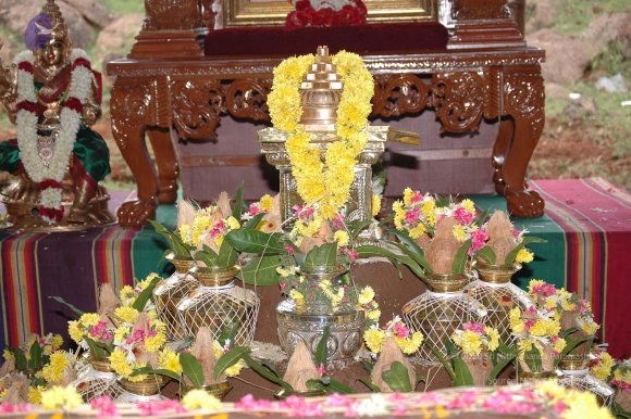 20081111_Photo_1105_DSC_2415_CMP_WM