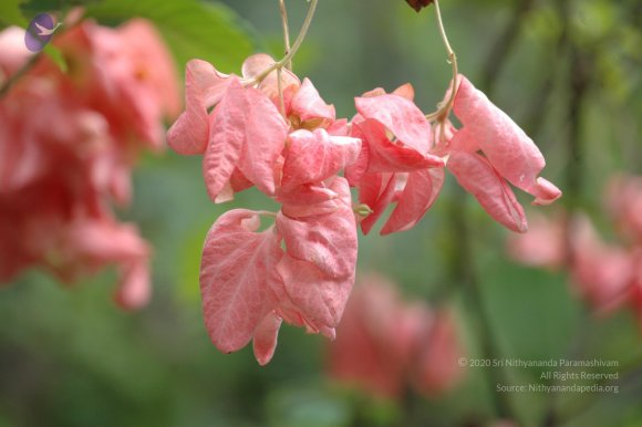 20081111_Photo_1161_DSC_2779_CMP_WM