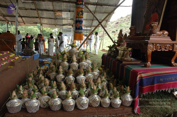 20081111_Photo_1186_DSC_2146_CMP_WM