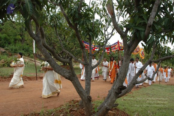 20081111_Photo_1192_DSC_2030_CMP_WM