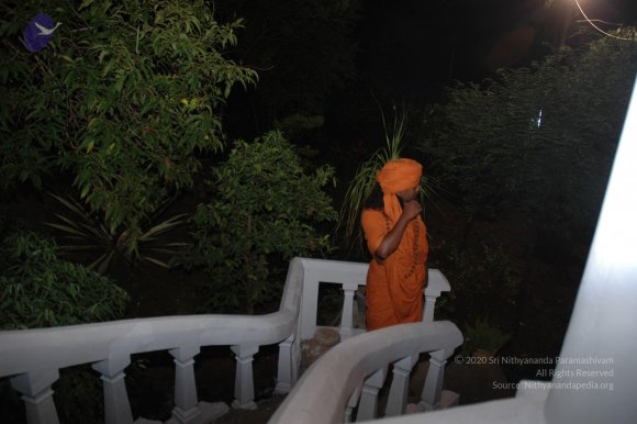 20081111_Photo_1262_DSC_3467_CMP_WM