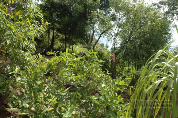 20081111_Photo_1273_DSC_2758_CMP_WM