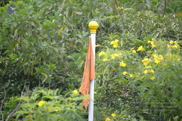 20081111_Photo_1302_DSC_2773_CMP_WM