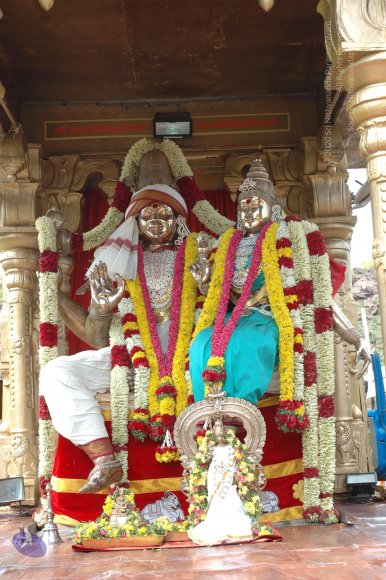 20081111_Photo_1411_DSC_2278_CMP_WM