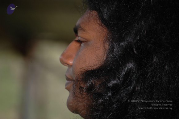 20081111_Photo_1908_DSC_2383_CMP_WM