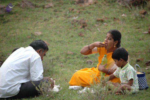 20081111_Photo_1916_DSC_2841_CMP_WM