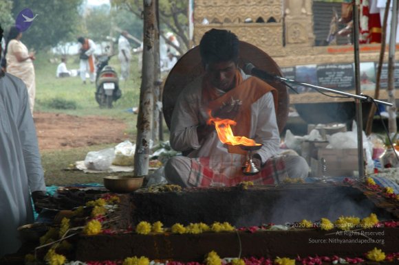 20081111_Photo_1917_DSC_2876_CMP_WM