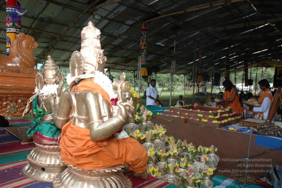 20081111_Photo_1990_DSC_2529_CMP_WM