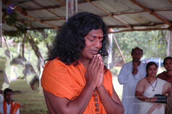 20081111_Photo_1045_DSC_2522_CMP_WM