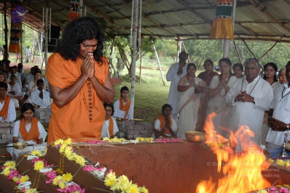 20081111_Photo_1047_DSC_2527_CMP_WM