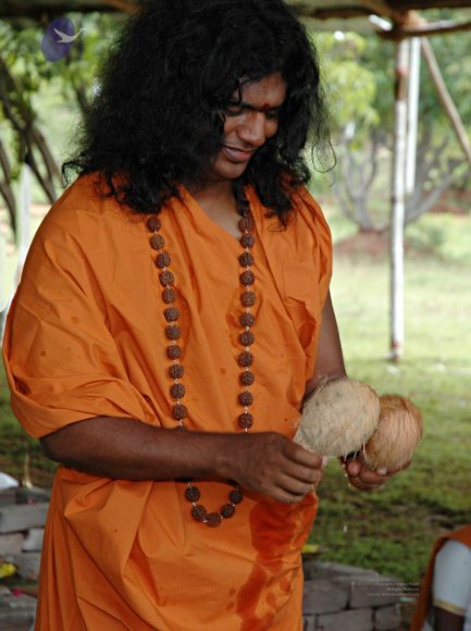 20081111_Photo_1051_DSC_2542_CMP_WM