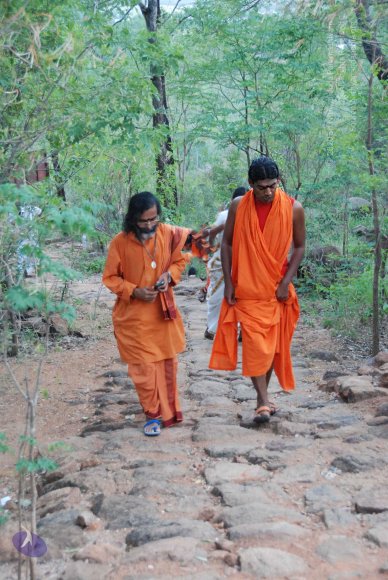 20090805_Photo_1001_DSC_0153_CMP_WM