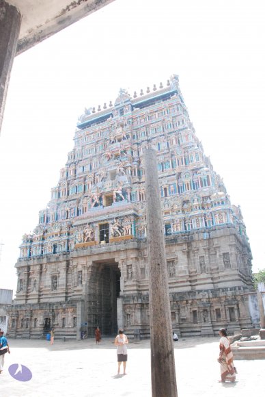 20090811_Photo_1018_DSC_0253_CMP_WM