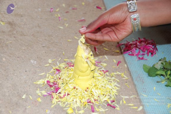 20090823_Photo_1035_DSC_1484_CMP_WM